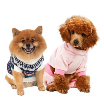 Dog Clothing
